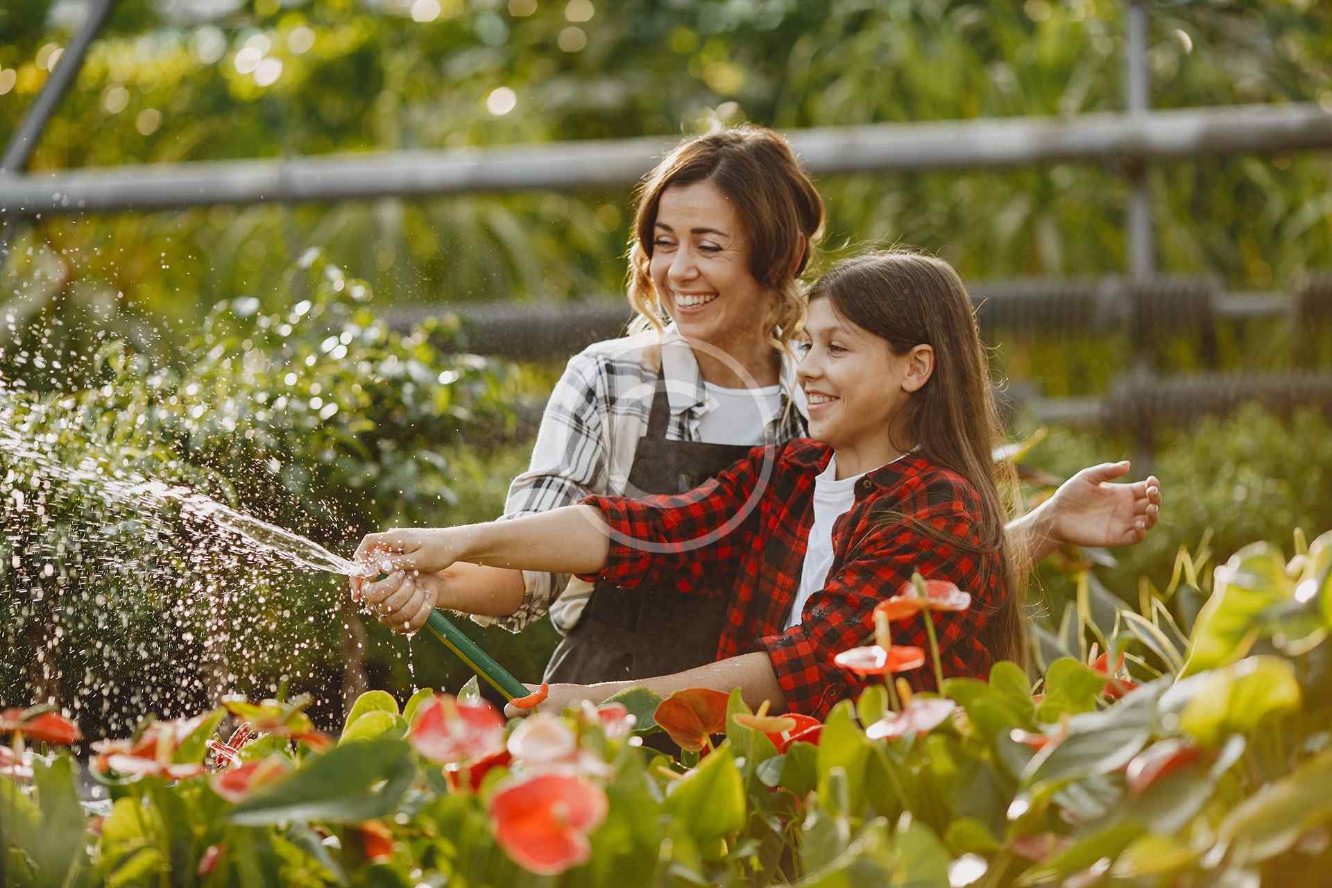 Vegetable gardens